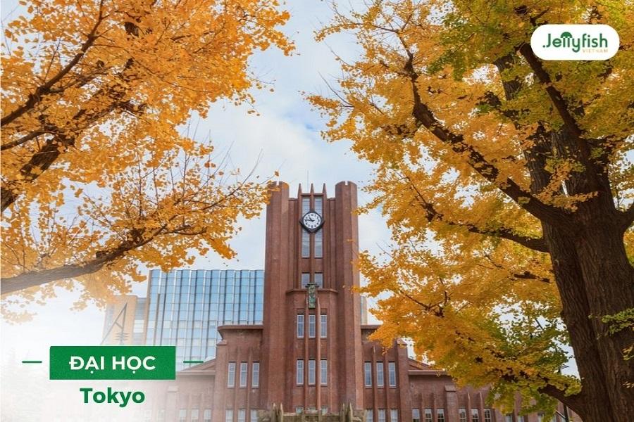 Trường Đại học Tokyo: Học bổng, Điều kiện, Học phí 2024